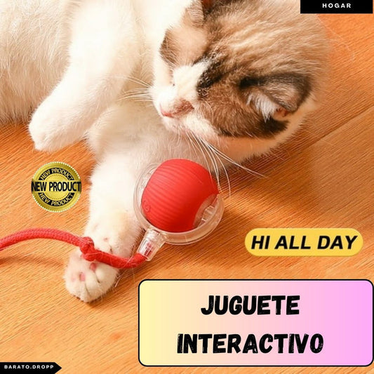 JUGUETE INTERACTIVO